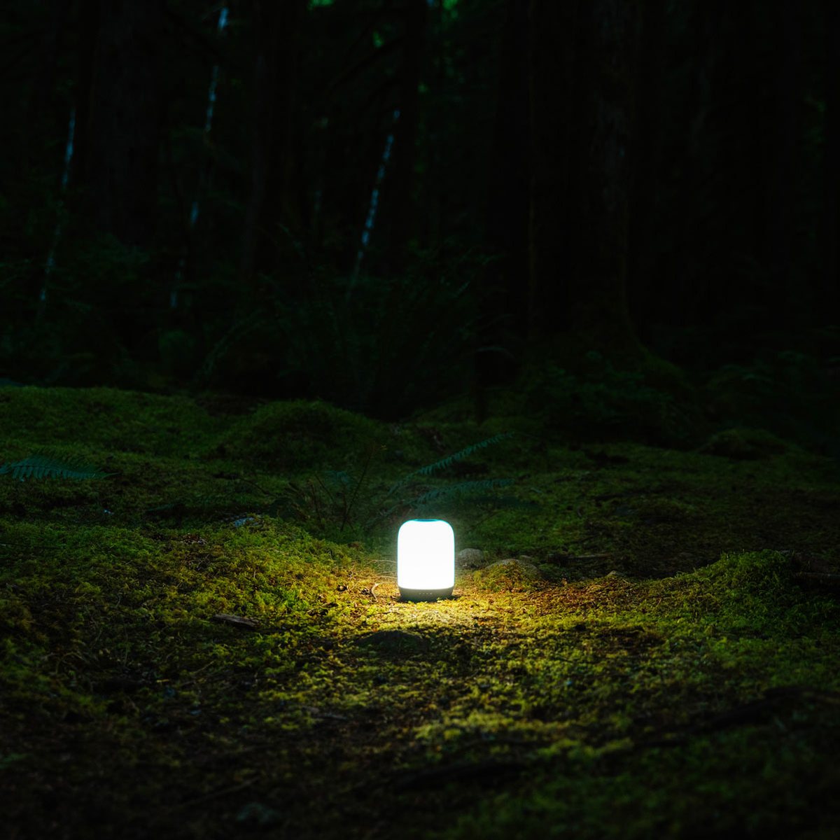BioLite Alpenglow 500 Lumen Multicolor USB Lantern