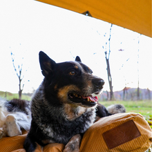 Load image into Gallery viewer, Sunshade tarp