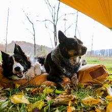 Load image into Gallery viewer, Sunshade tarp