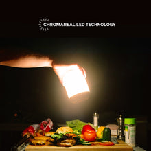Load image into Gallery viewer, BioLite Alpenglow 250 Lumen Multicolor USB Lantern