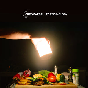BioLite Alpenglow 250 Lumen Multicolor USB Lantern